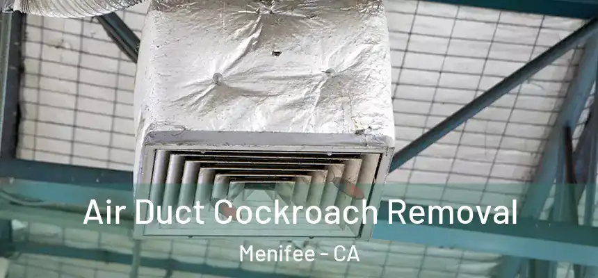  Air Duct Cockroach Removal Menifee - CA