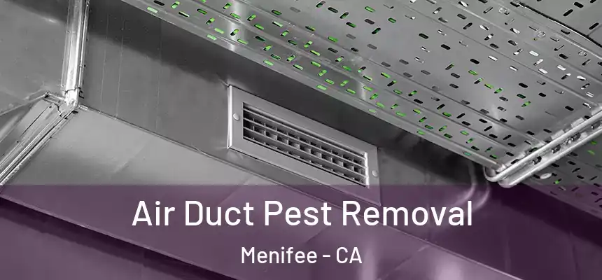 Air Duct Pest Removal Menifee - CA