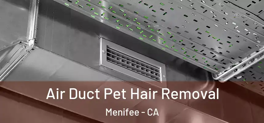 Air Duct Pet Hair Removal Menifee - CA