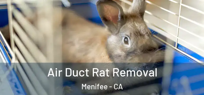  Air Duct Rat Removal Menifee - CA