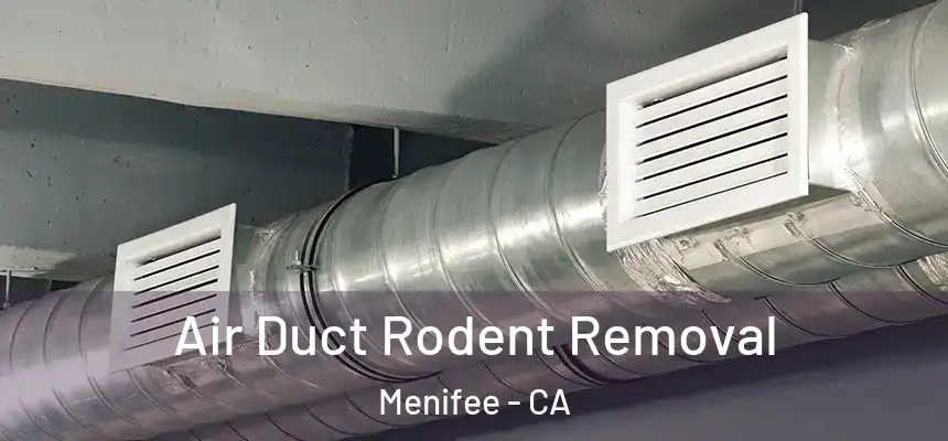 Air Duct Rodent Removal Menifee - CA