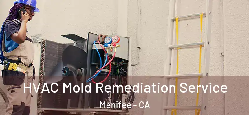  HVAC Mold Remediation Service Menifee - CA