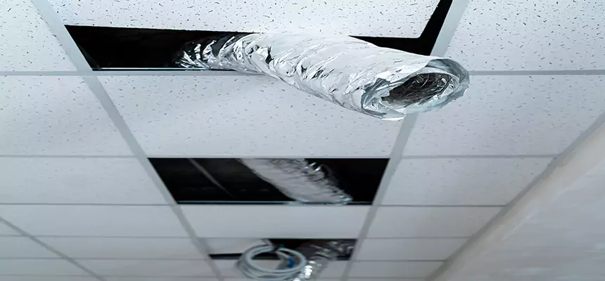 Affordable HVAC Sanitizing After Pest Removal in Menifee