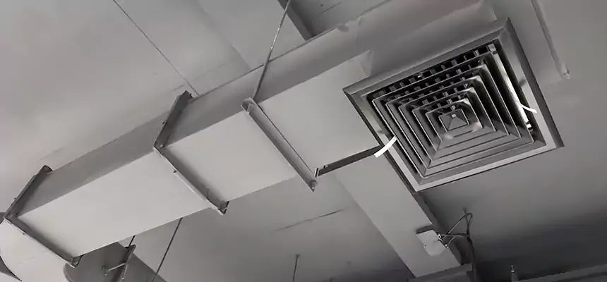 Restorative Allergy Relief Vent Cleaning – Coil, Blower & Housing Detail in Menifee