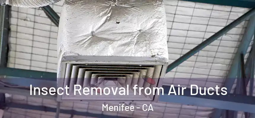  Insect Removal from Air Ducts Menifee - CA