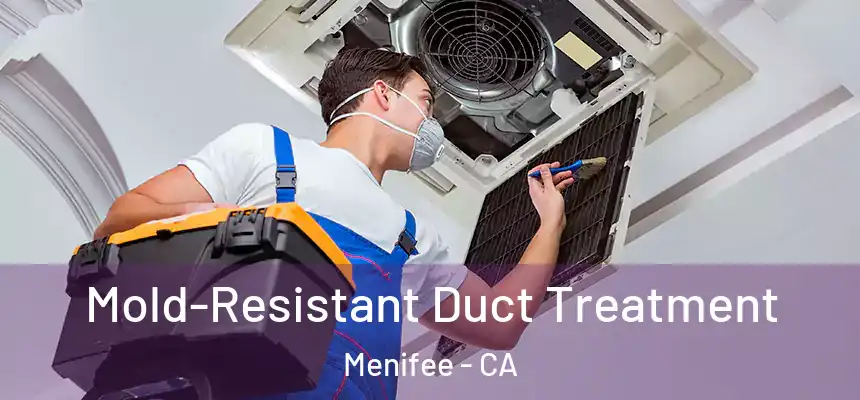 Mold-Resistant Duct Treatment Menifee - CA
