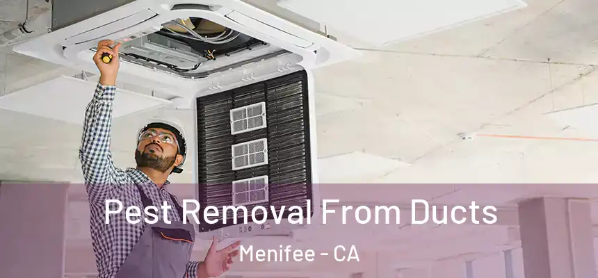 Pest Removal From Ducts Menifee - CA