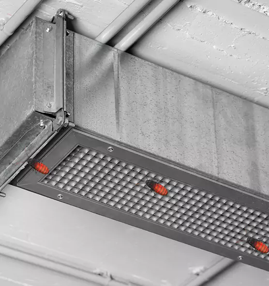 Affordable Insect Removal from Air Ducts in Menifee, CA