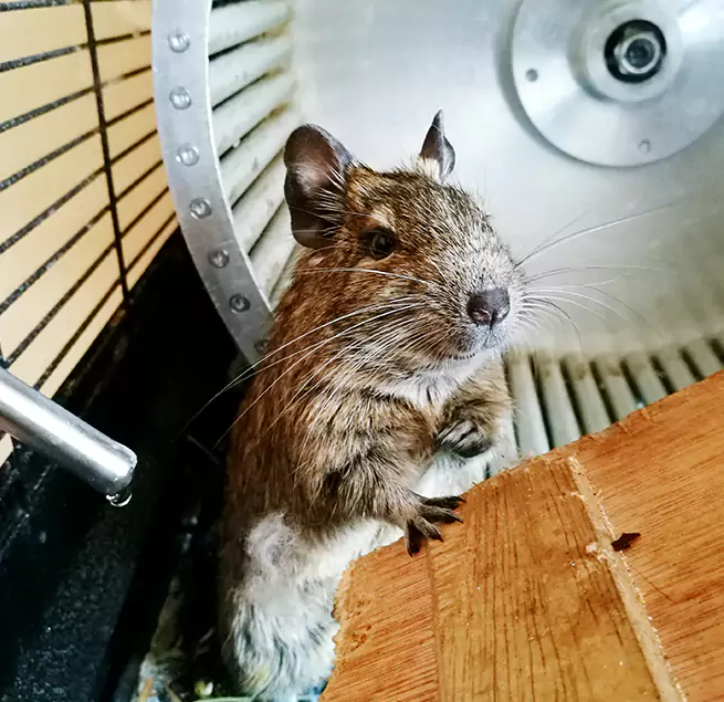 Why Homeowners & Businesses Trust Us Menifee, CA?