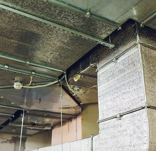 Why Homeowners & Businesses Trust Us in Menifee, CA?